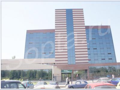 ������, �����, ������, ���������, ��� ��������