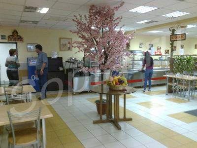 ��� ��� ����������� �������� + ����.