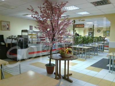 ��� ��� ����������� �������� + ����.