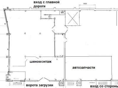 ���� �������