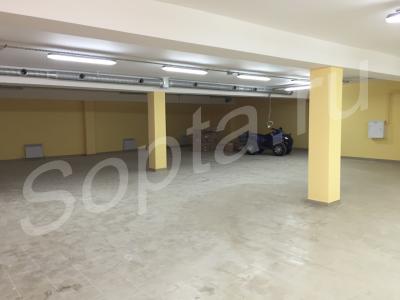 ���� �������