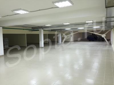 ���� �������