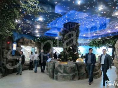 ������� ��� 