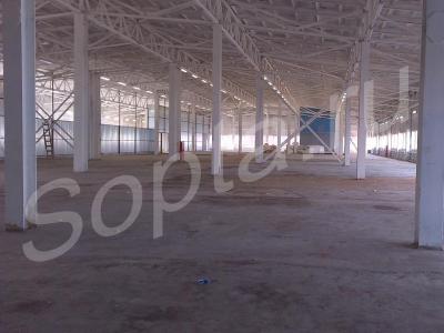 ���� �  ������, �����, ��������� ���������, �����