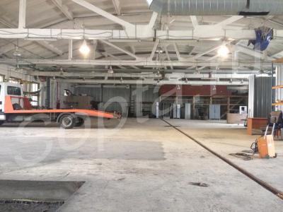 ���� ������, ������������ �� ������������, ����. 