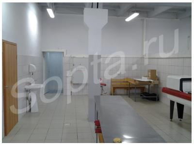 ���� � ������, ���������������� ���������, ������