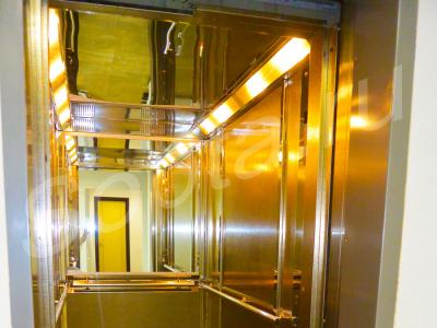 ������� ������� ��������� 519,5 ��.�.