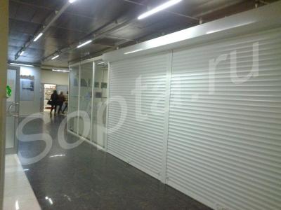 ���� ��� ���������