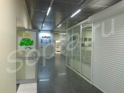 ���� ��� ���������