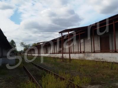 ������ � �� ������ � ������� (5 �� �� ����)