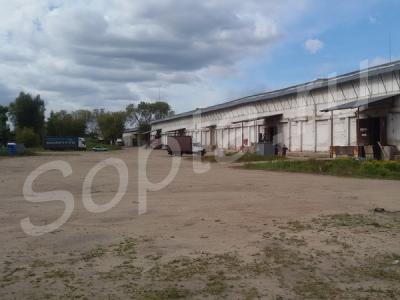 ������ � �� ������ � ������� (5 �� �� ����)