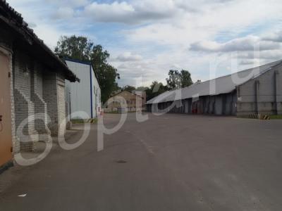 ������ � �� ������ � ������� (5 �� �� ����)