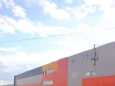 ���� ����� - ������������ � ���.