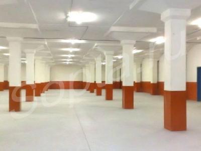 ���� ����� - ������������ � ���.