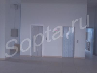 ����  ���������, �������