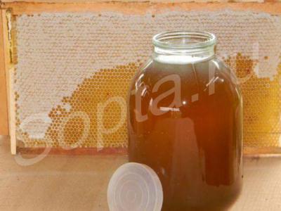 ������������� ̸� (��� �����, ���� ������), ������������ ������, ������