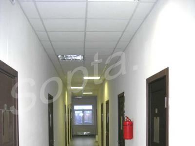 ���� � ������ ������� ����  206,3 ��.�. � ���������������� ������