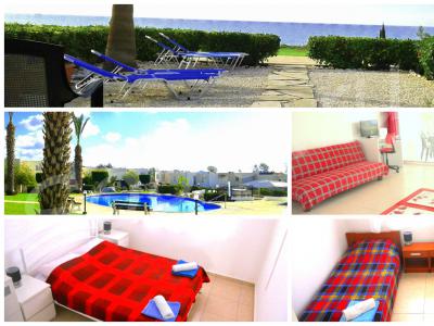 ���� �����������