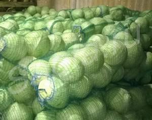 ������� ����� �� �������������.