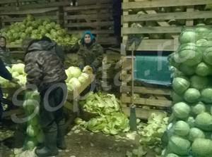 ������� ����� �� �������������.