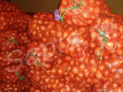 ��� ����� �� 11 ���, ������ �������!