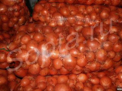 ��� ����� �� 11 ���, ������ �������!