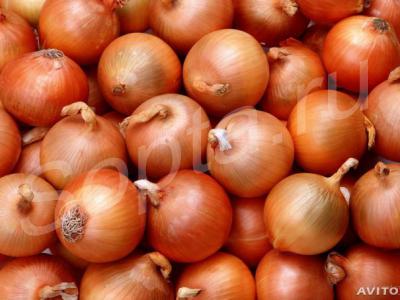 ��� ����� �� 11 ���, ������ �������!