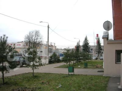 ���� � ������ ��������� ���������� ����������