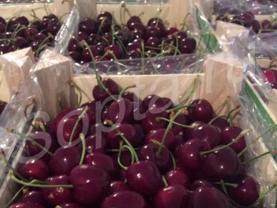 ������� �������