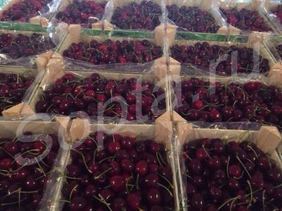 ������� �������