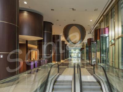 ���� ���� ��������� 33��. � 