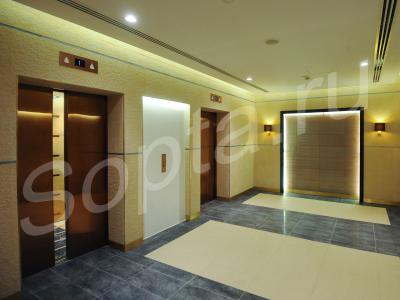 ���� ���� ��������� 33��. � 