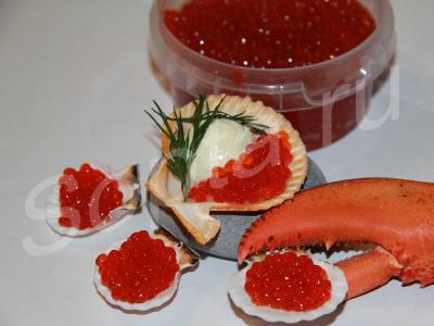 ������ ������������ ����� �������, ���� �������, ������� ��������.