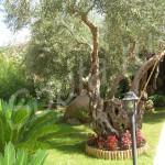 ����� � ������