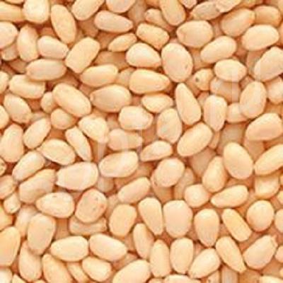 ���� ��������� ����� �����, ���� 2016�