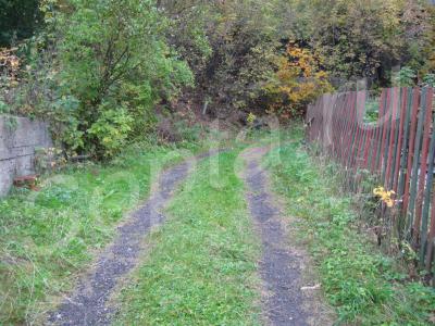 ���� � ����� 15 �� �� ����