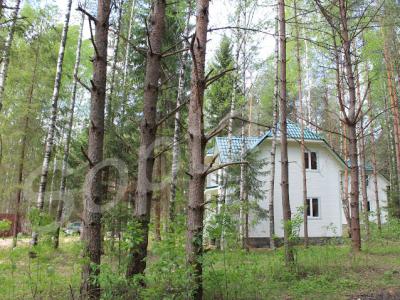 ��� 135 ��.�. �� ������ ������� � �����