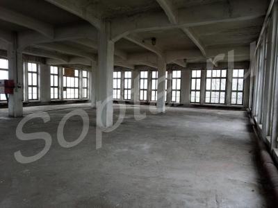 ���� ��������� ���  ���� ������, ����� ��� ������