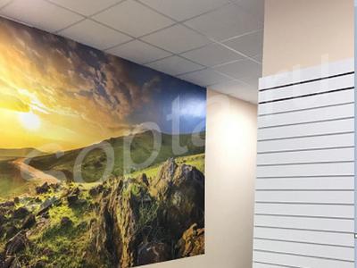 ���� ��� ������ 245 � 540 ��.�. 