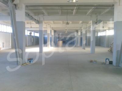 ���� � ������ ������������ ������. ��������� ����