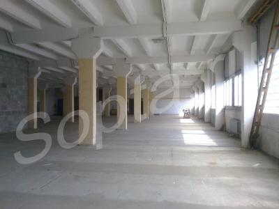 ���� � ������ ������������ ������. ��������� ����