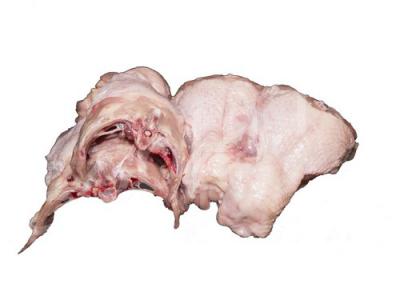 ��������, ����� �� ����, ������� ����, �����