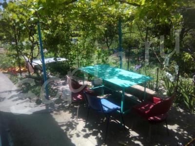 Сдаётся домик в частном домовладений Сдаётся домик в частном домовладений