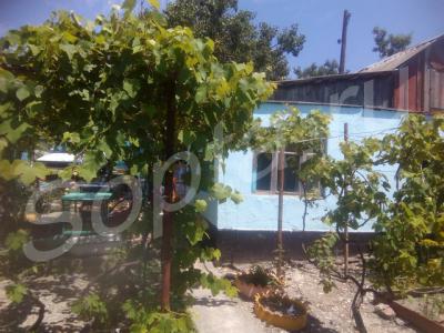 ������ ����� � ������� ������������ 