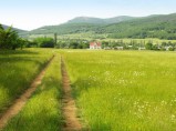 Шикарный участок возле леса в селе Гончарное / Севастополь